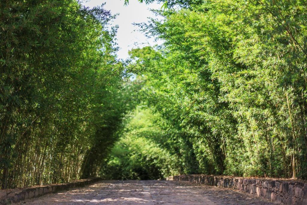 Pousada Bosque Do Lapao Lencois Exterior foto